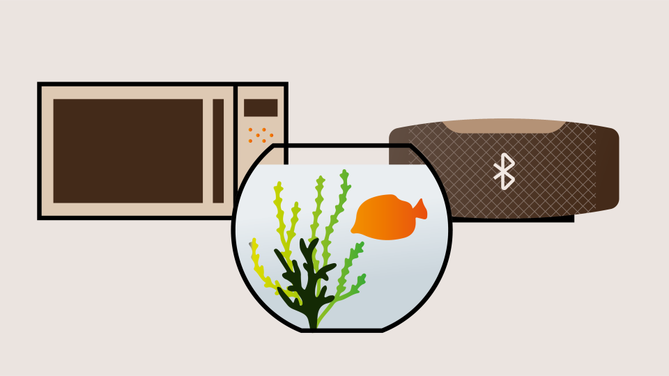 Aquarium steht vor Mikrowelle und Bluetooth Box